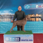 Sitina